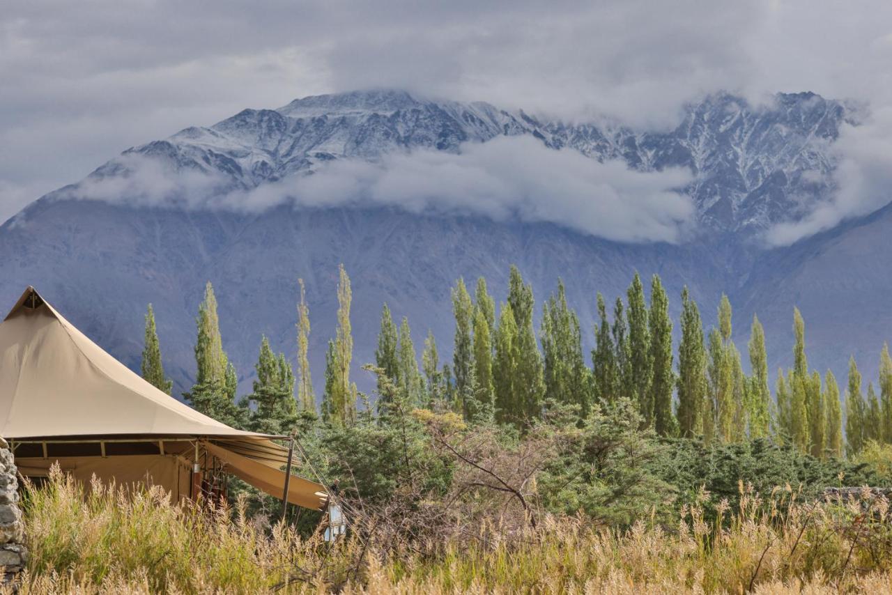 Chamba Camp Diskit Nubra Exterior foto